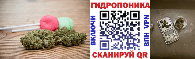 как найти закладки  Моршанск  Cannafood марихуана 