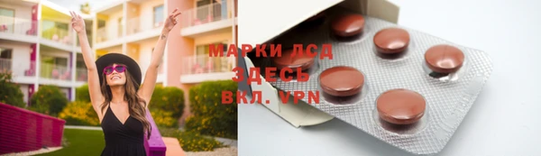 гашик Алексин