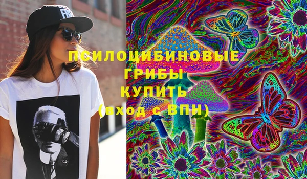 мяу мяу мука Абдулино