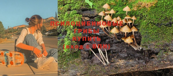мяу мяу мука Абдулино
