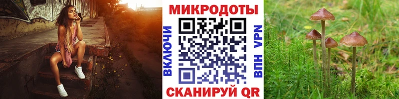 где продают наркотики  Моршанск  Галлюциногенные грибы Magic Shrooms 