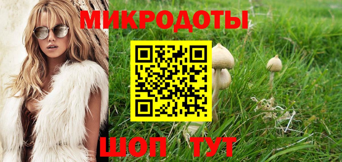 Моршанск  Псилоцибиновые грибы Cubensis  Вход с VPN 